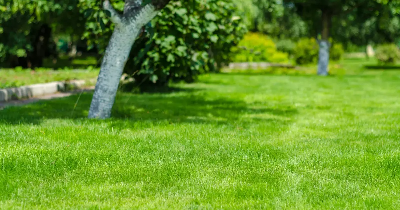 Odświeżenie ogrodu na nowy sezon – doskonałe porady, które tchną życie w Twoją przestrzeń zieloną